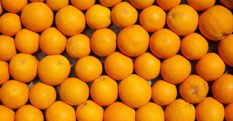 Everyone Can Benefit From Homemade, Great-Tasting Juice